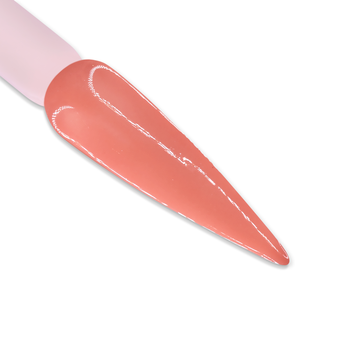 DD026ShyPink-BSWATCH.png